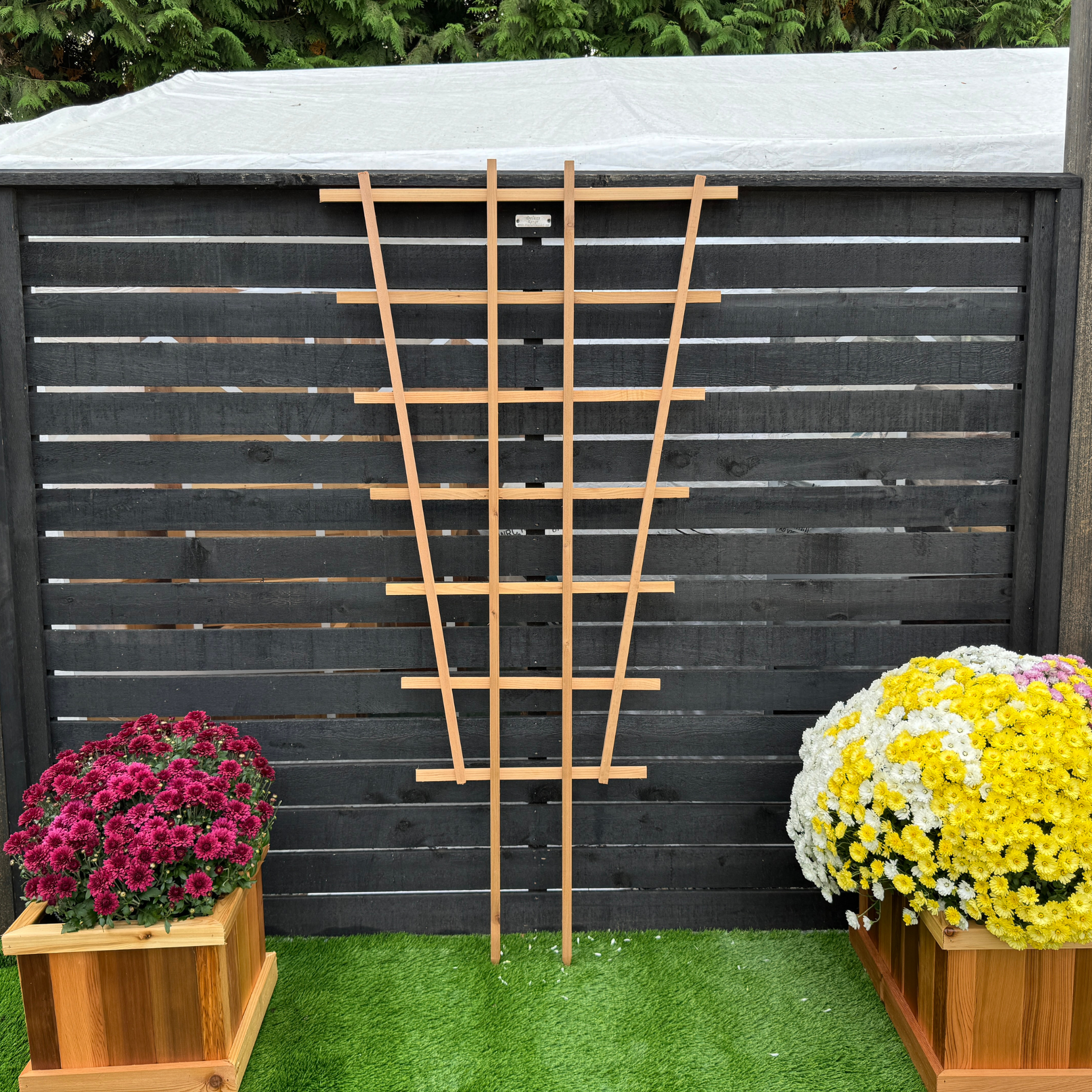 72" FT6 Fan Trellis: Enhance Your Garden's Beauty  The Planter Guy