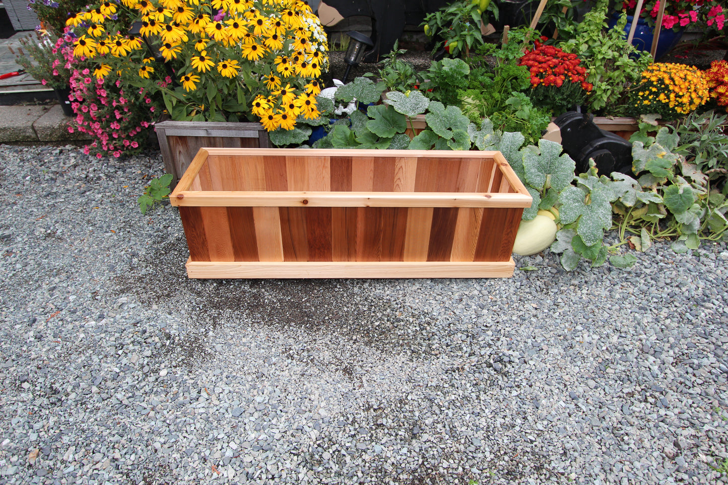 1648 - 48"L x 16"W x 16"H Western Red Cedar Raised Garden Planter