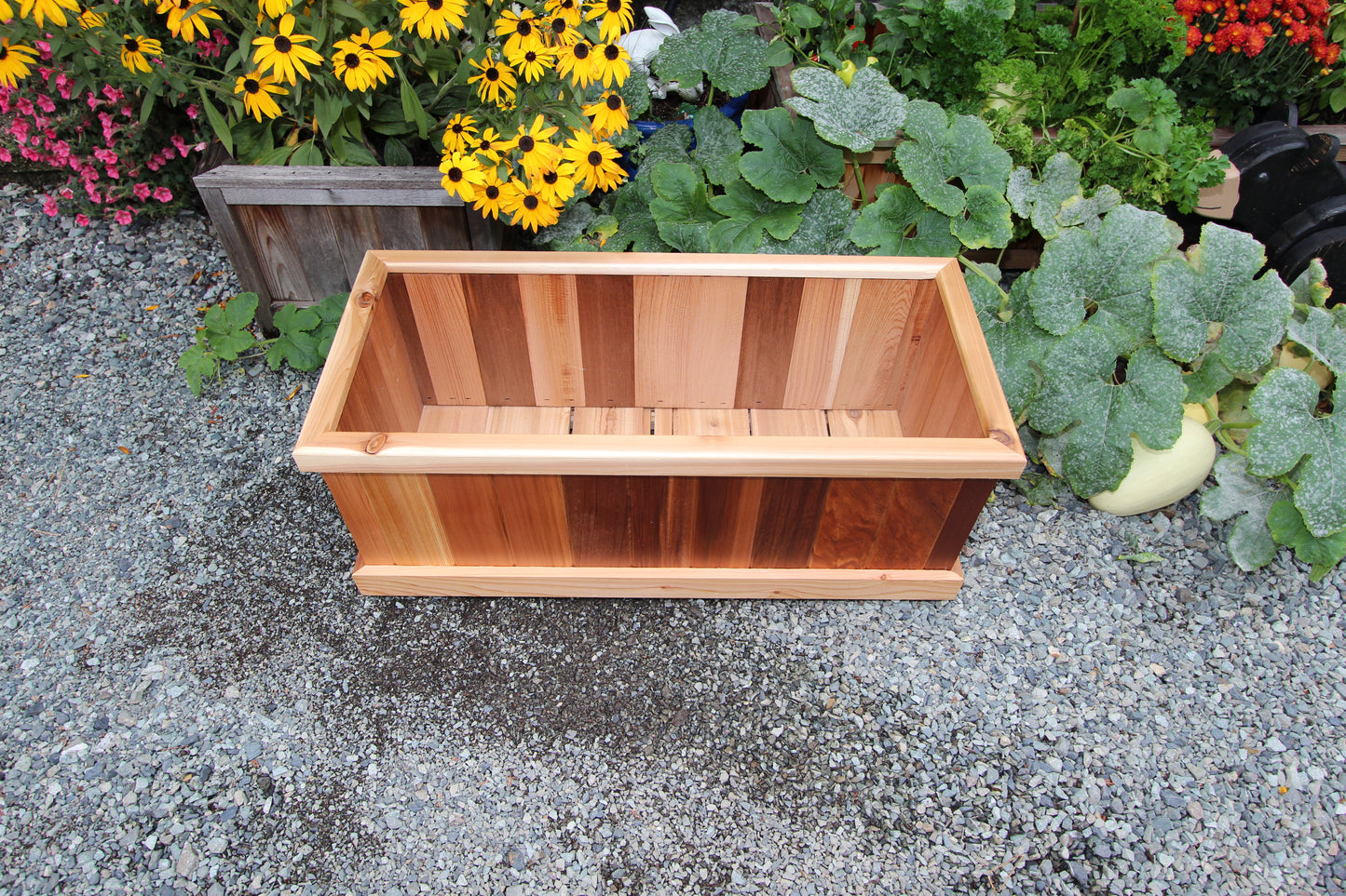 1636 - 36"L x 16"W x 16"H Western Red Cedar Raised Garden Planter