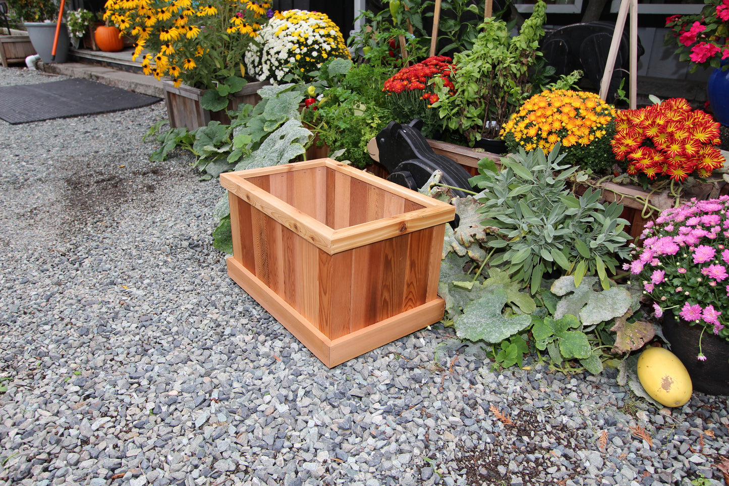 1624 - 24"L x 16"W x 16"H Western Red Cedar Raised Garden Planter