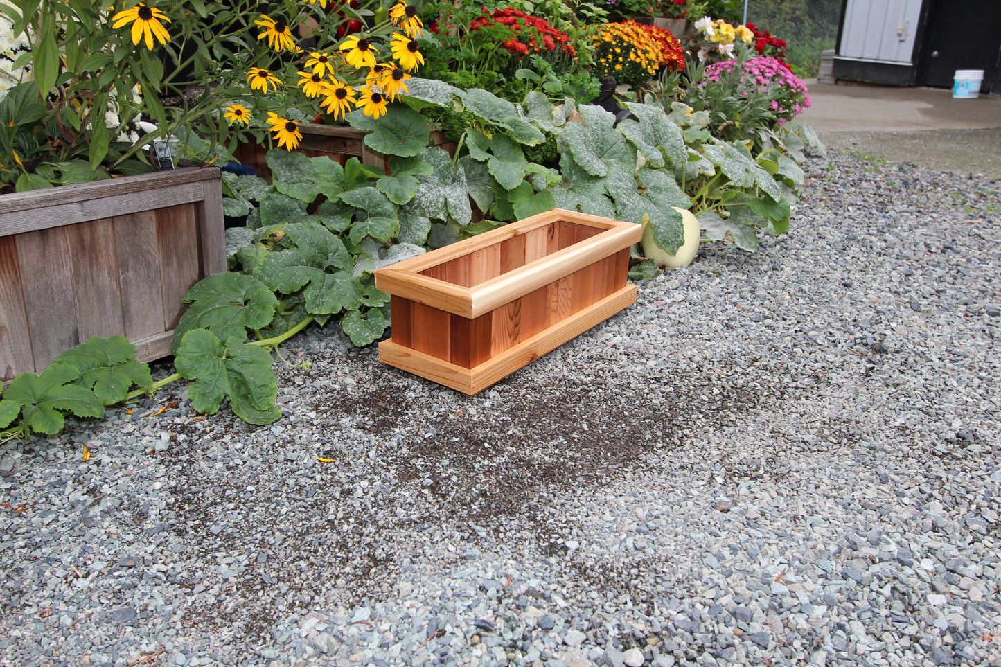 924 - 24β³L x 9β³W x 8β³H β Red Cedar Flower Planter
