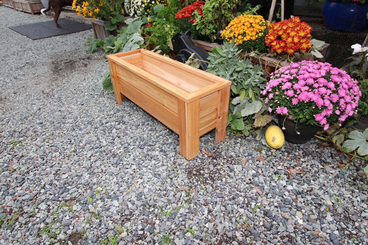 1236 - 36β³L x 12"W x 15β³H β Western Red Cedar Raised Flower Planter