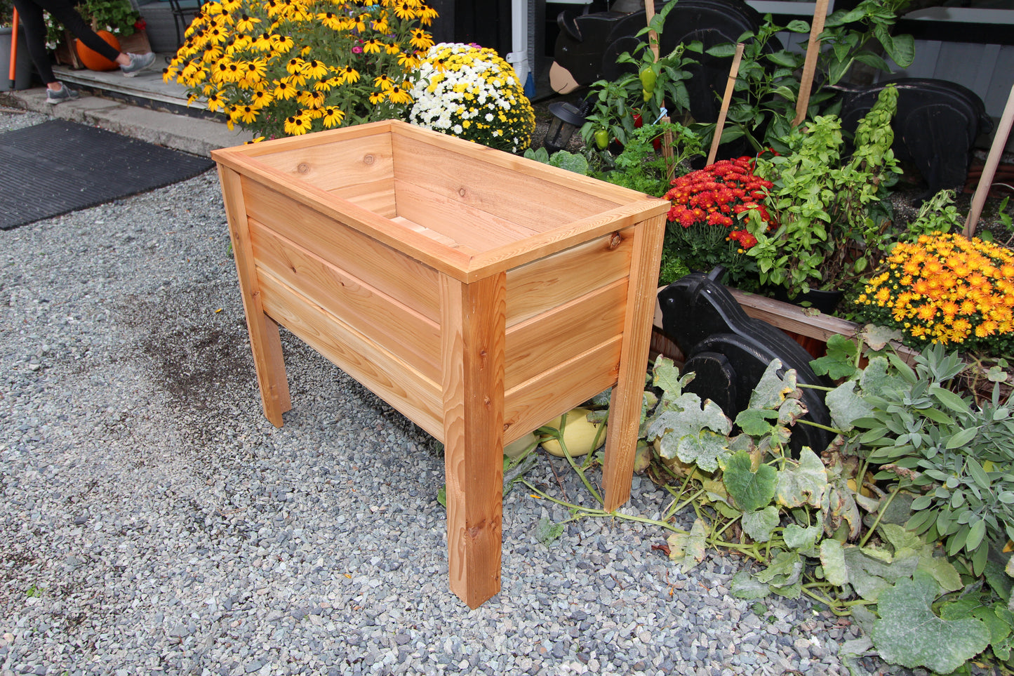 2036 - 36β³L x 20β³W x 30β³H β Western Red Cedar Raised Garden Planter