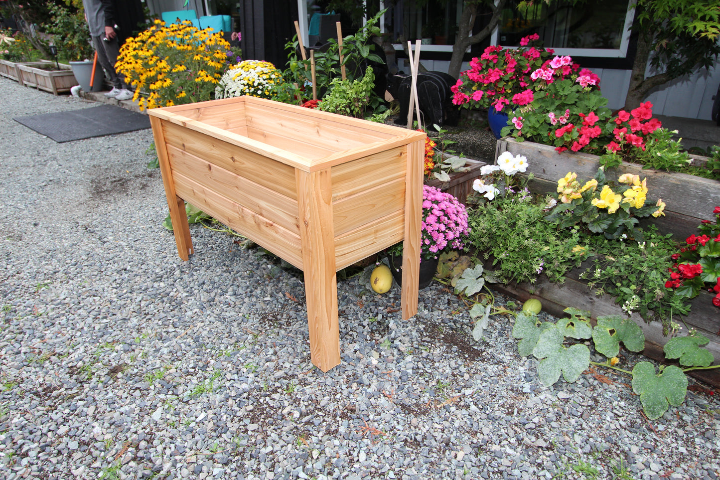 2048 - 48β³L x 20β³W x 30β³H β Western Red Cedar Raised Garden Planter