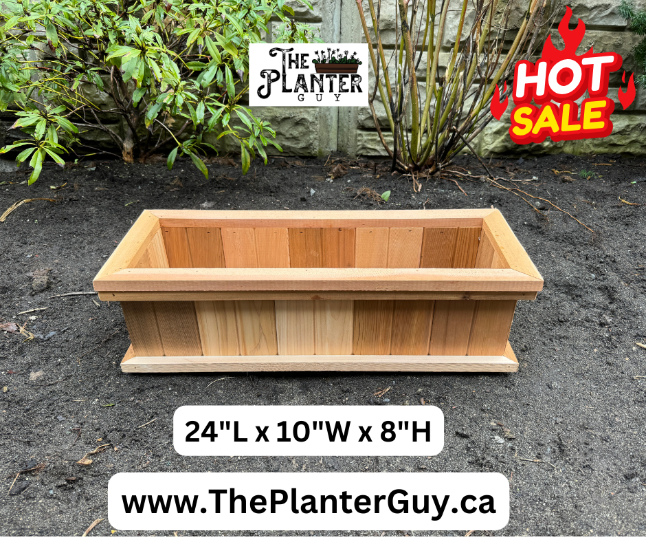 Budget Friendly The Planter Guy