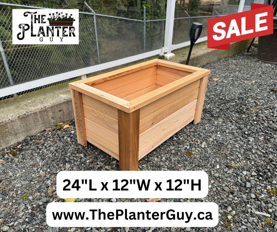 Budget Friendly The Planter Guy