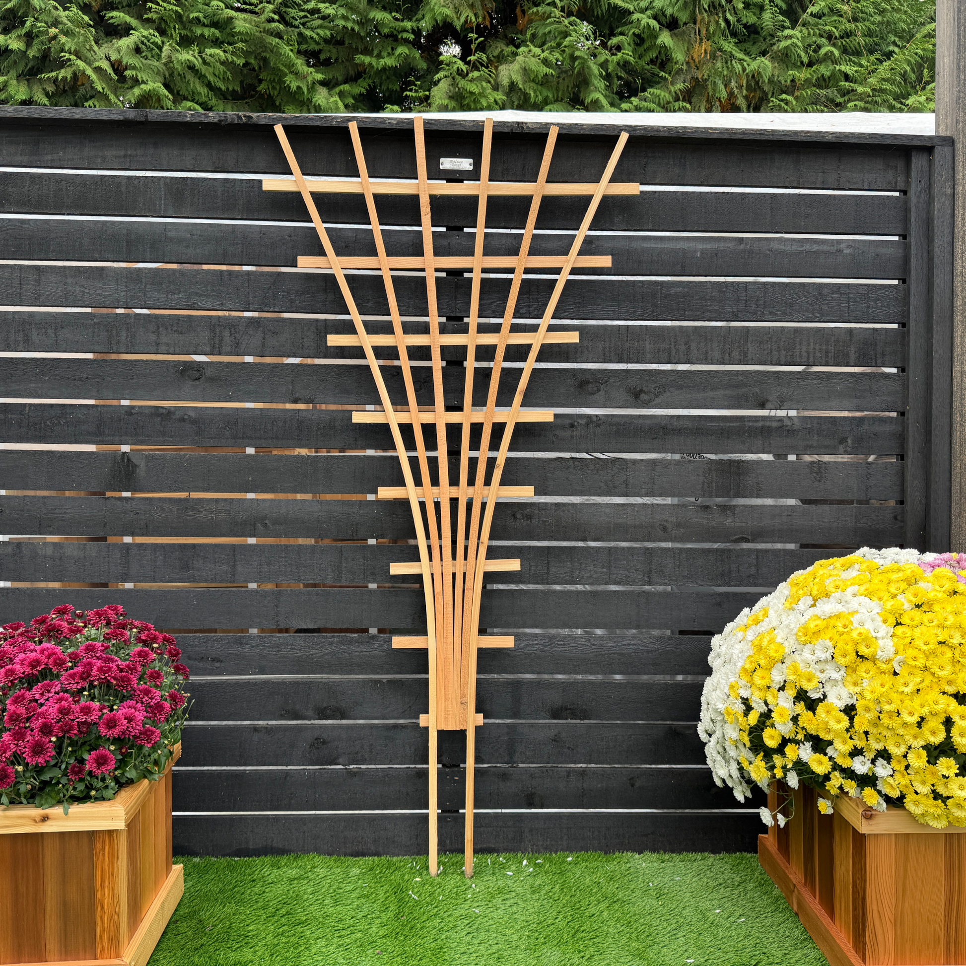 wood fan trellis 72" CFT6 Fan Trellis: Enhance Your Garden's Beauty – The Planter Guy
