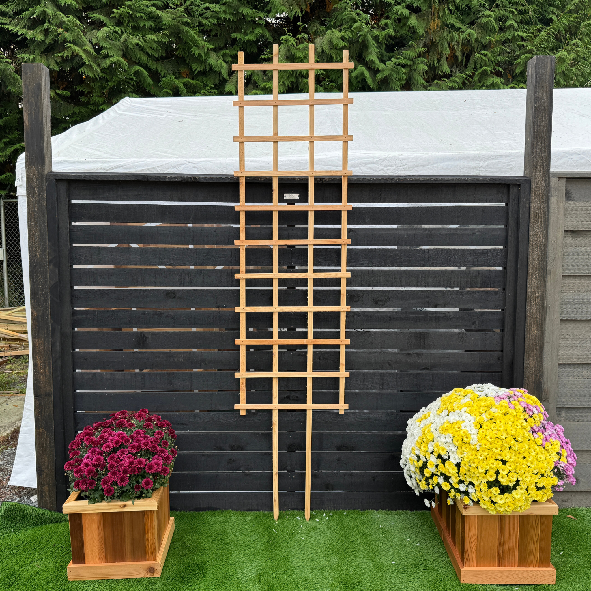 Handcrafted Trellises ST824 Large Cedar Climbing Trellis – The Planter Guy